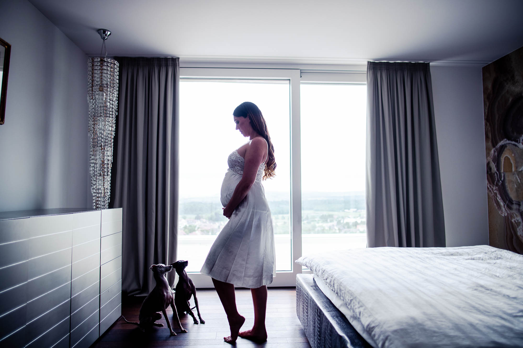 Export x3 1DX26131 Fotoshooting 2020 Zito